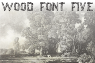 Wood Font Five: A Typeface Rooted in Nature